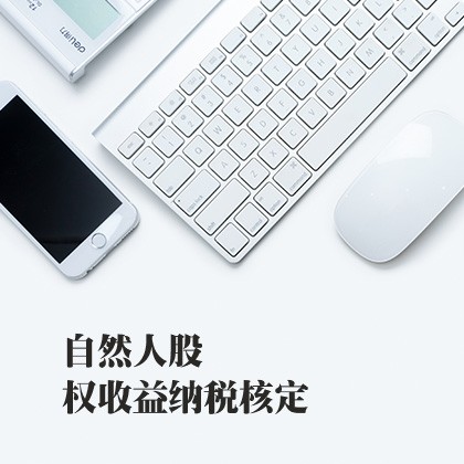自然人股权收益纳税核定
