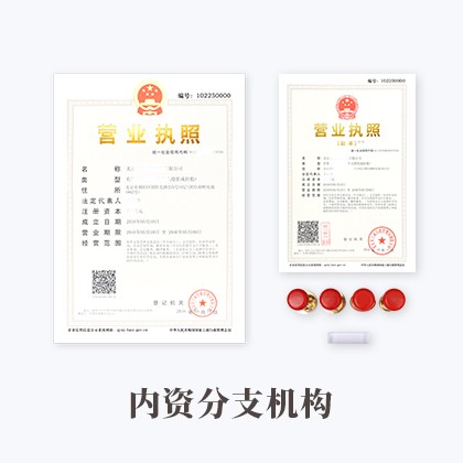 内资分支机构