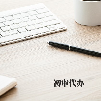初审代办