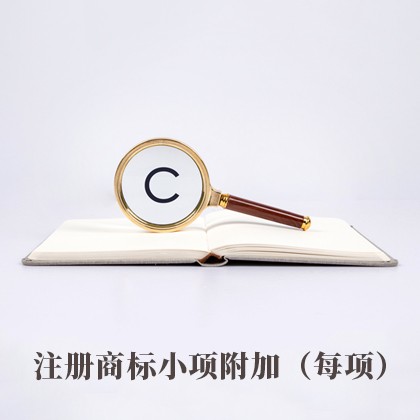 注册商标小项附加（每项）